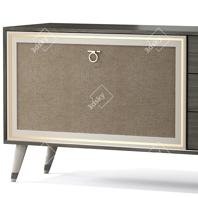 Modern Hector Sideboard: Stylish Storage Solution 3D model image 2