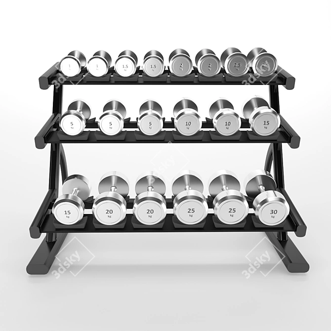 Durable Metal Gym Dumbbell Set 3D model image 2