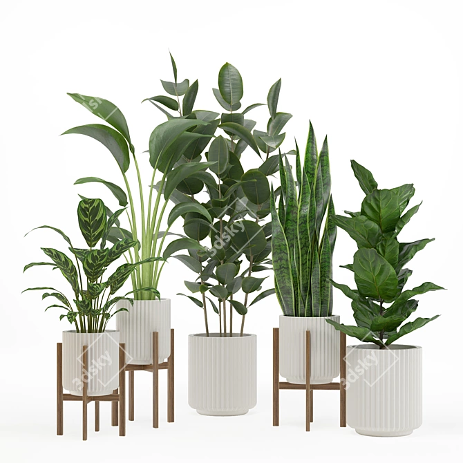 PBR-Optimized Indoor Plant Set 3D model image 1