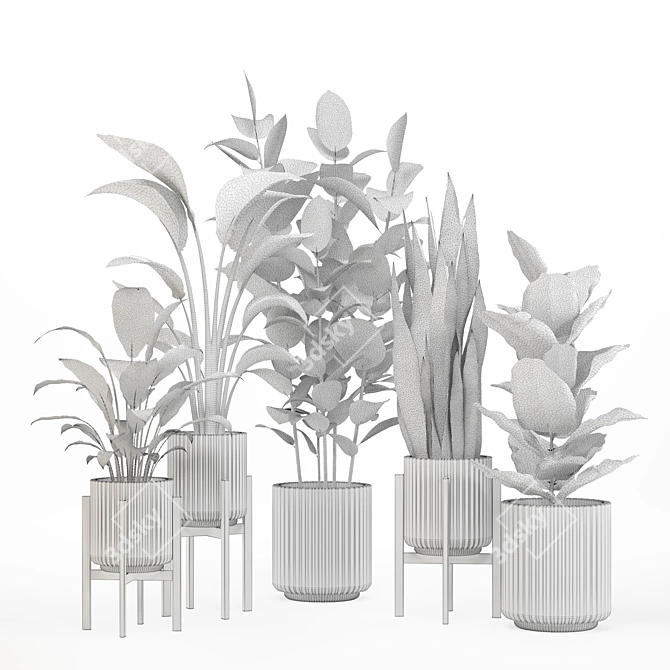 PBR-Optimized Indoor Plant Set 3D model image 2