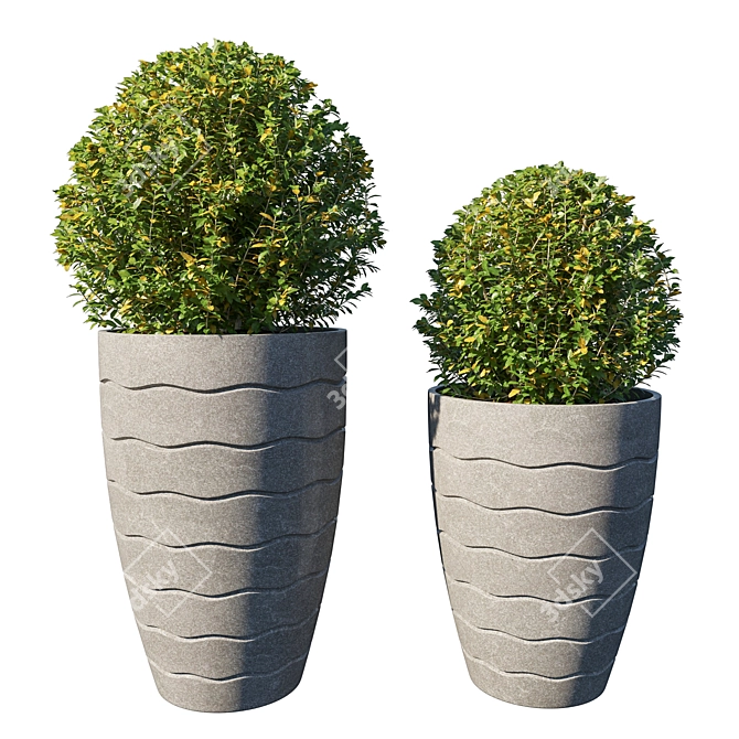 Tropical Pot Plant Collection 3D model image 1
