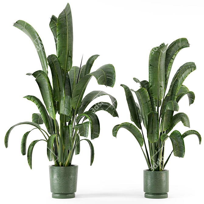 Concrete Pot Indoor Plants - Set 99 3D model image 1