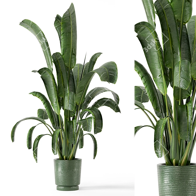Concrete Pot Indoor Plants - Set 99 3D model image 3