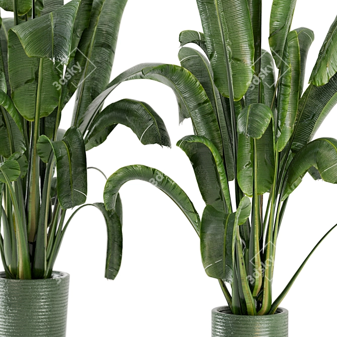 Concrete Pot Indoor Plants - Set 99 3D model image 6