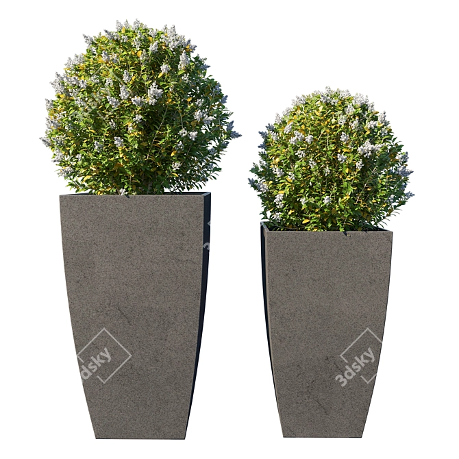 Modern Pot Plant Collection 3D model image 1