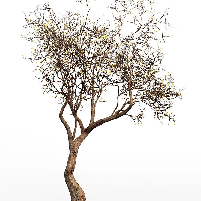 Ethereal Dead Tree Silhouette 3D model image 2