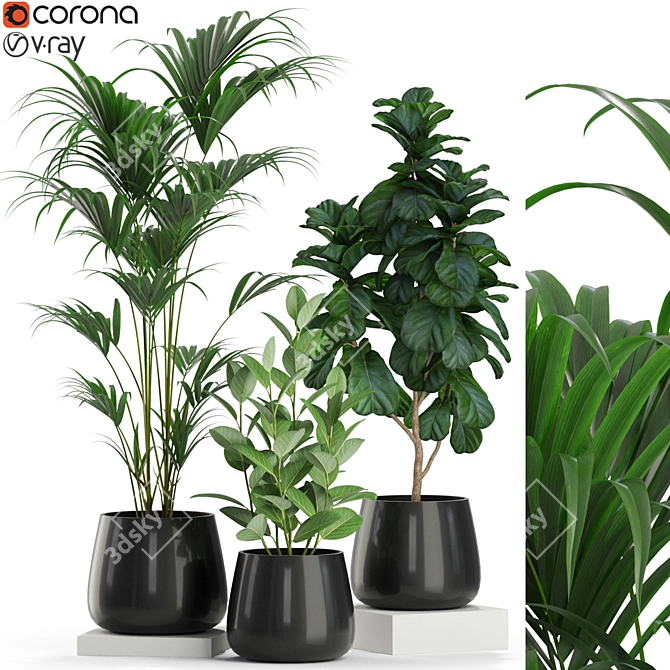  Verdant Oasis: Exquisite Plants Collection 3D model image 1