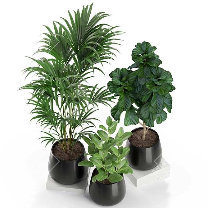  Verdant Oasis: Exquisite Plants Collection 3D model image 2