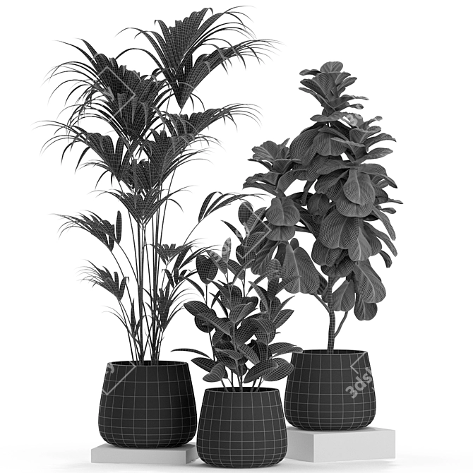  Verdant Oasis: Exquisite Plants Collection 3D model image 4