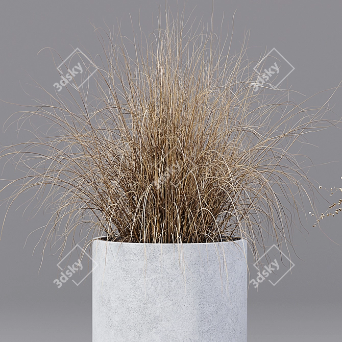 Premium Indoor Plant 05 3D model image 2