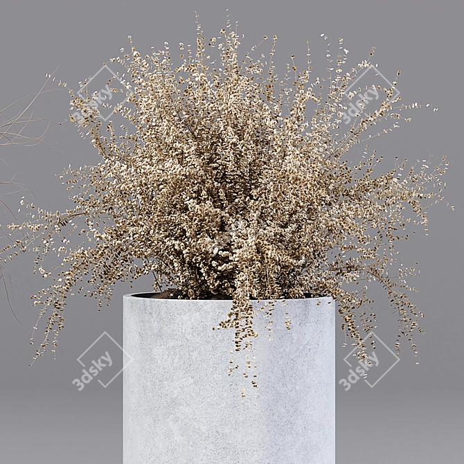 Premium Indoor Plant 05 3D model image 3