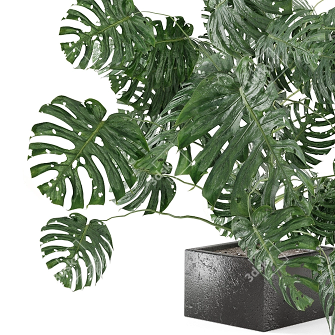 Exquisite Indoor Plant Collection 3D model image 3