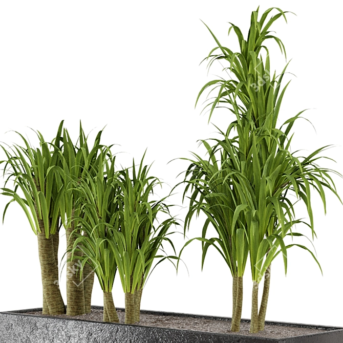 Exquisite Indoor Plant Collection 3D model image 4