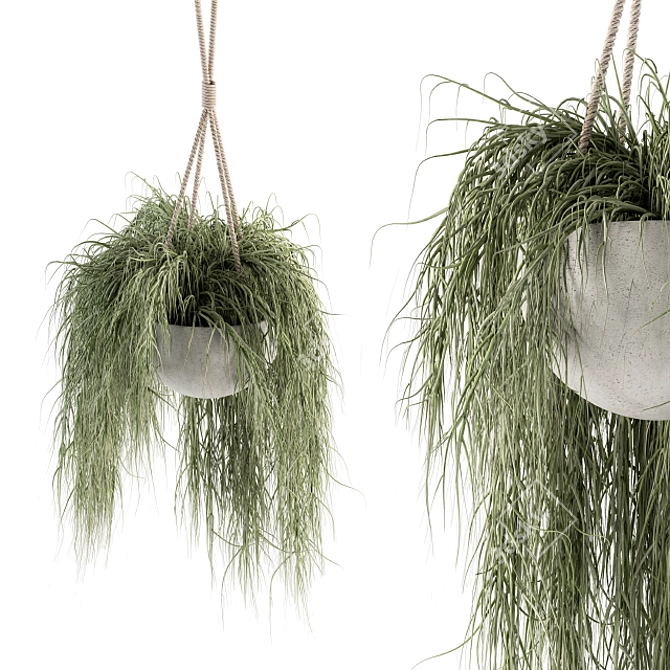 197 Indoor Hanging Plant Set 3D model image 1