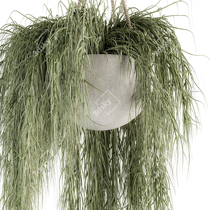 197 Indoor Hanging Plant Set 3D model image 4