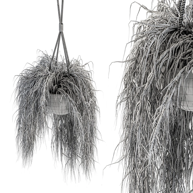 197 Indoor Hanging Plant Set 3D model image 5