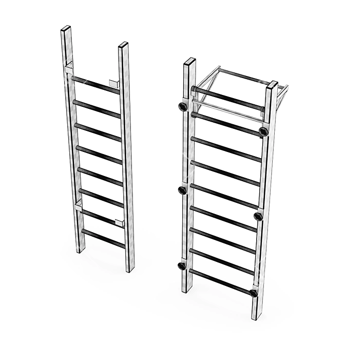 Nordic Fitness Swedish Ladder 3D model image 5