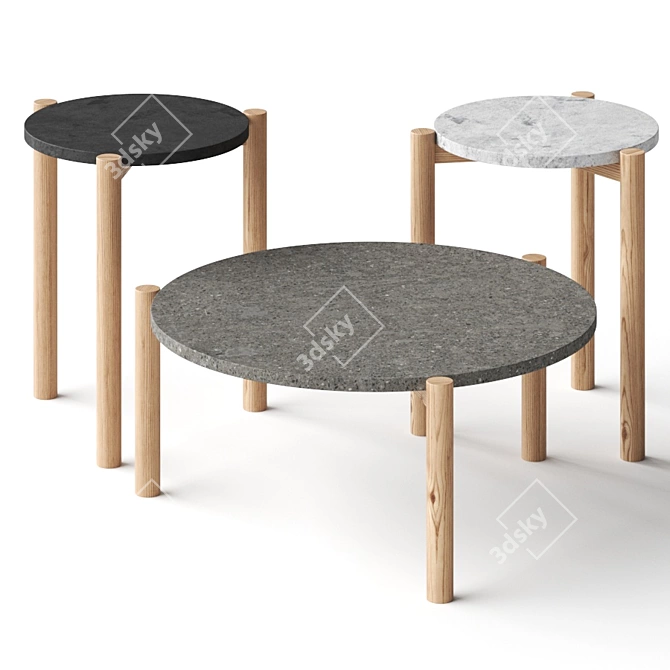 Elegant Lodge Coffee Tables 3D model image 1