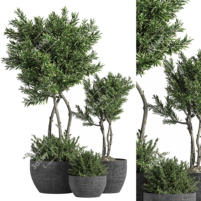 14-Piece Indoor Plant Set 3D model image 1