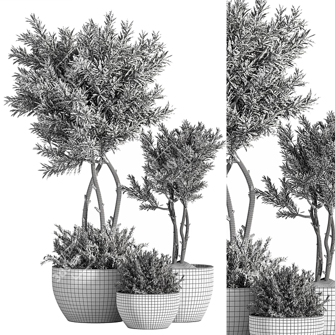 14-Piece Indoor Plant Set 3D model image 5