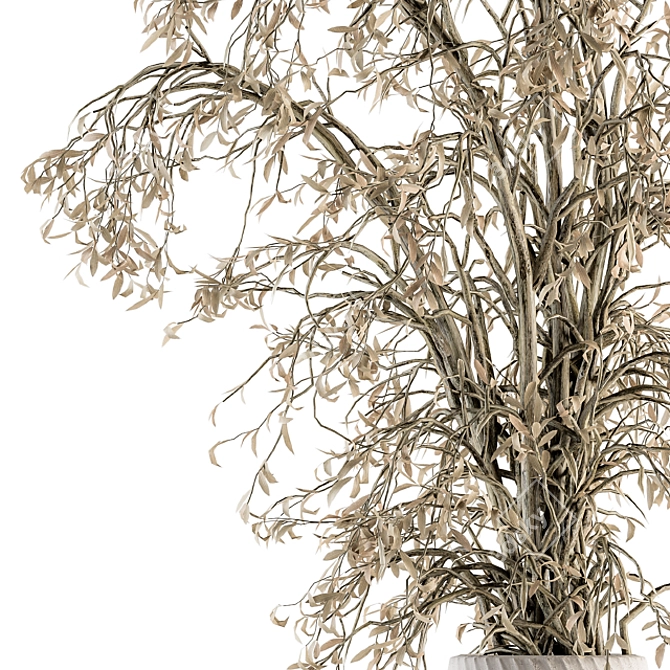 Elegance in a Vase - Dried Branch 3D model image 2