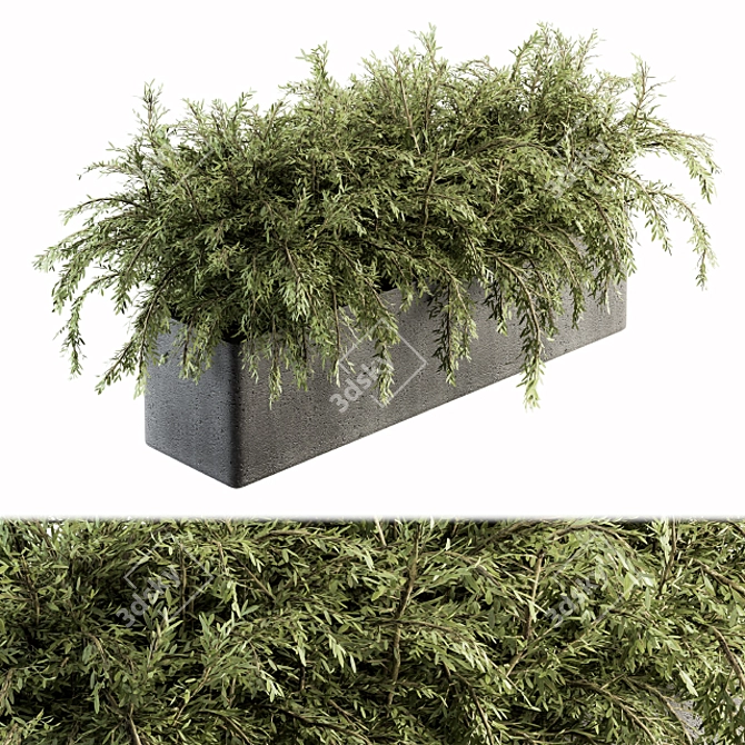 Green Oasis: Outdoor Plant Set 3D model image 1