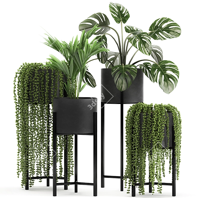 Exotic Plant Collection for Indoor and Outdoor Decor 3D model image 1