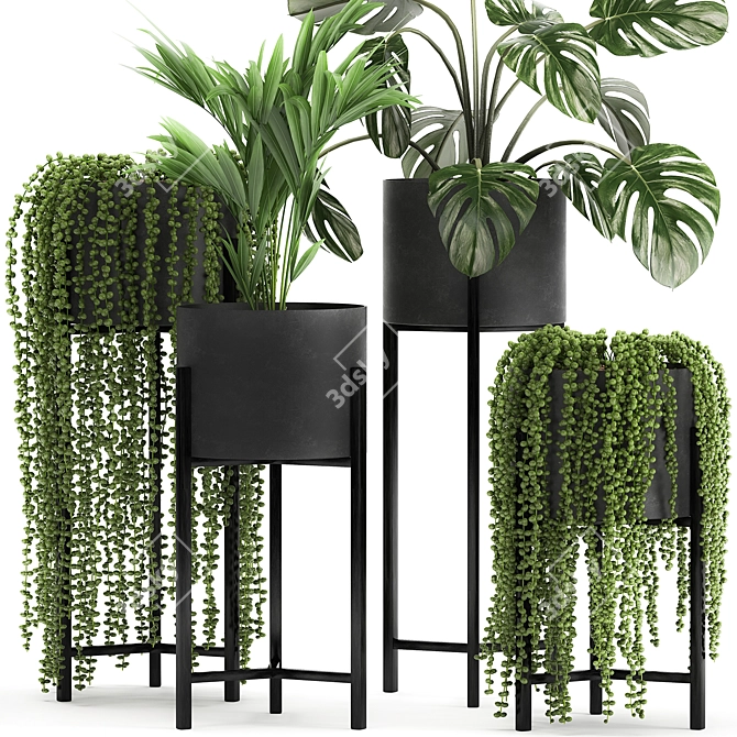 Exotic Plant Collection for Indoor and Outdoor Decor 3D model image 2