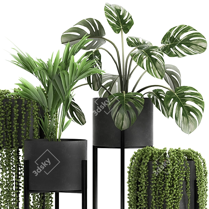 Exotic Plant Collection for Indoor and Outdoor Decor 3D model image 3