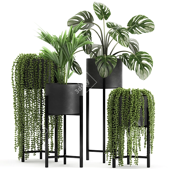 Exotic Plant Collection for Indoor and Outdoor Decor 3D model image 5