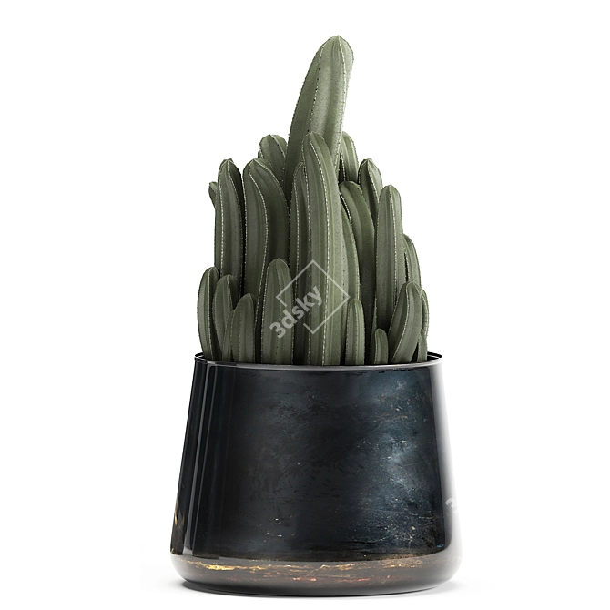 Tropical Plant Collection: Cereus, Raphis Palm & More 3D model image 4