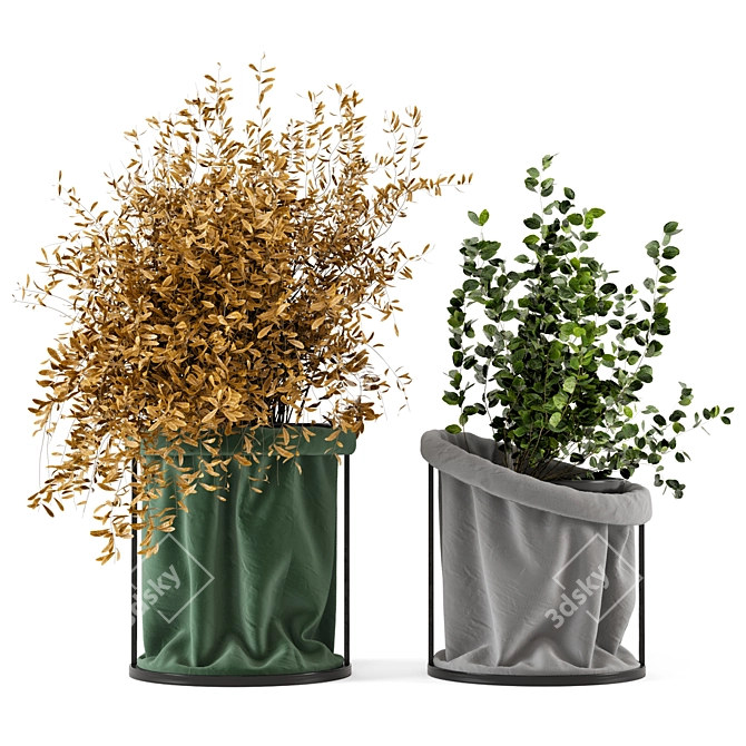 Elegant Indoor Plant Set 3D model image 1