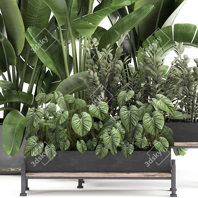 Tropical Plant Collection: Exotics for Indoor & Outdoor 3D model image 2