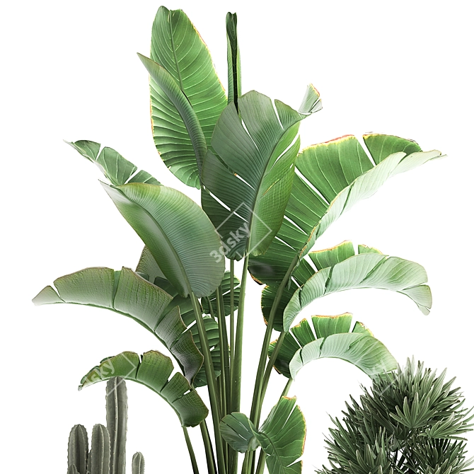 Tropical Chic Plant Collection 3D model image 4