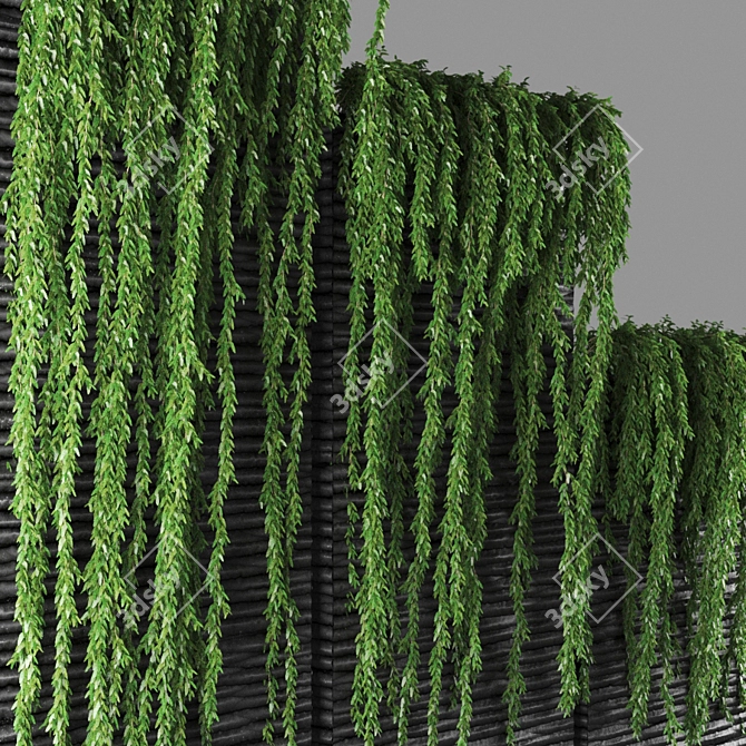 Unique Poly Plant, 3-5m Heights 3D model image 2