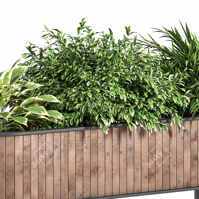 Lush Green Indoor Plant Set 3D model image 2