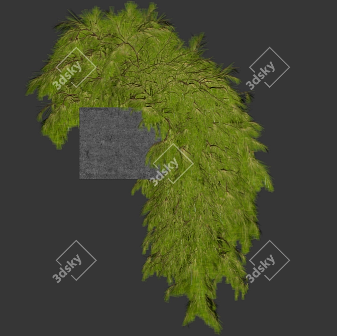 Outdoor Hanging Plant Box - Gardening Decor 3D model image 5