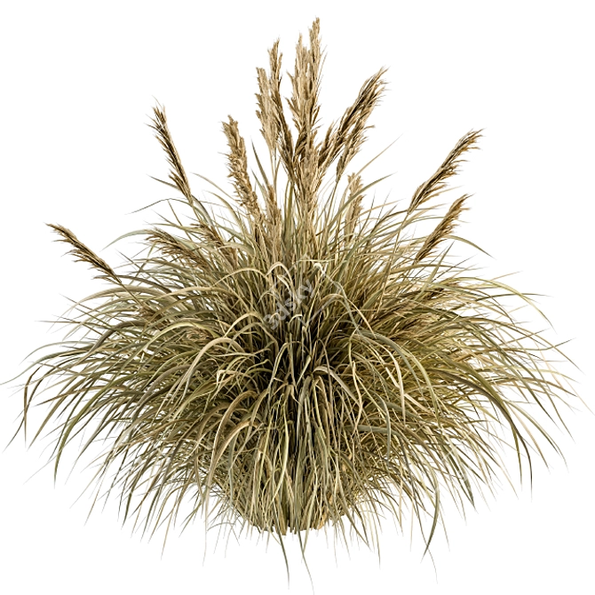 Pampas Oasis - 25 Piece Bush Set 3D model image 1