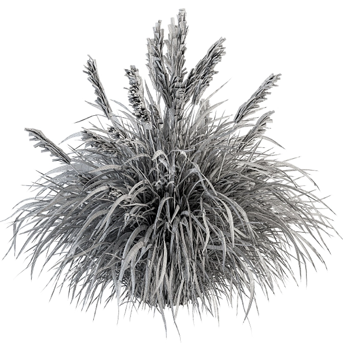 Pampas Oasis - 25 Piece Bush Set 3D model image 4