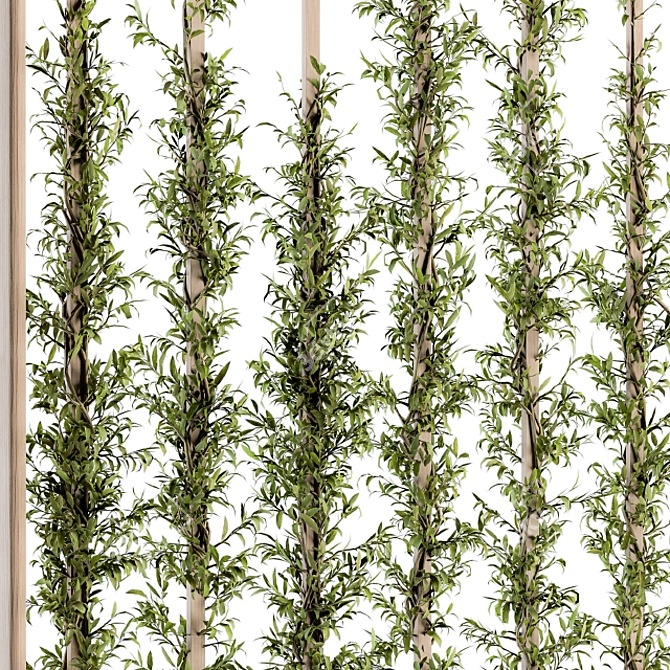 EcoWood Vertical Plant Wall 3D model image 4