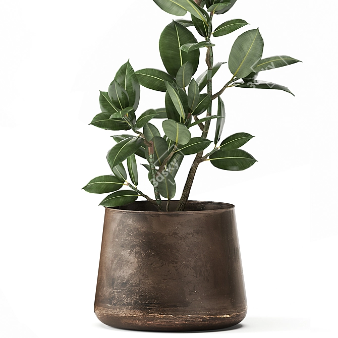 Tropical Plant Collection: Exotics in Reclaimed Iron Pots 3D model image 3