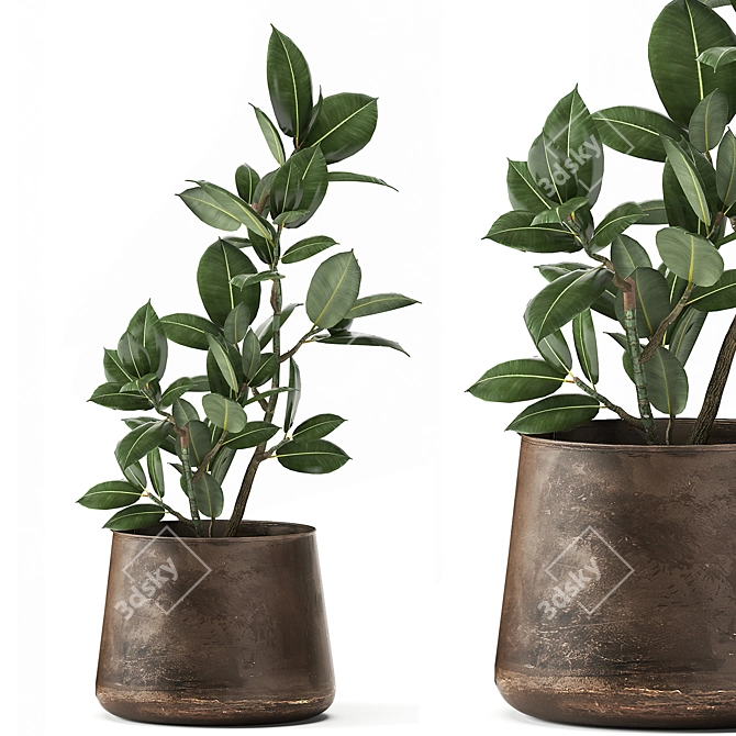 Tropical Plant Collection: Exotics in Reclaimed Iron Pots 3D model image 5