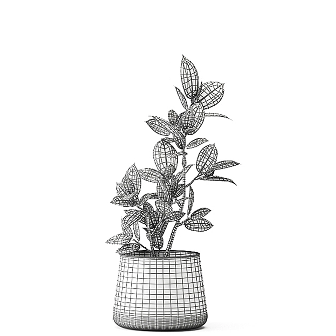 Tropical Plant Collection: Exotics in Reclaimed Iron Pots 3D model image 6