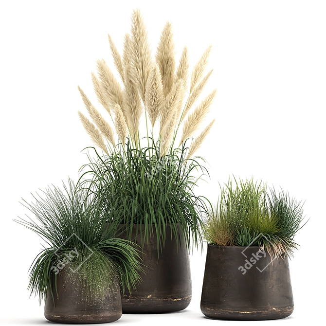 Exotic Plant Collection with Metal Pots 3D model image 1