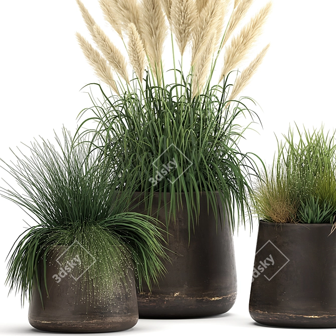 Exotic Plant Collection with Metal Pots 3D model image 2