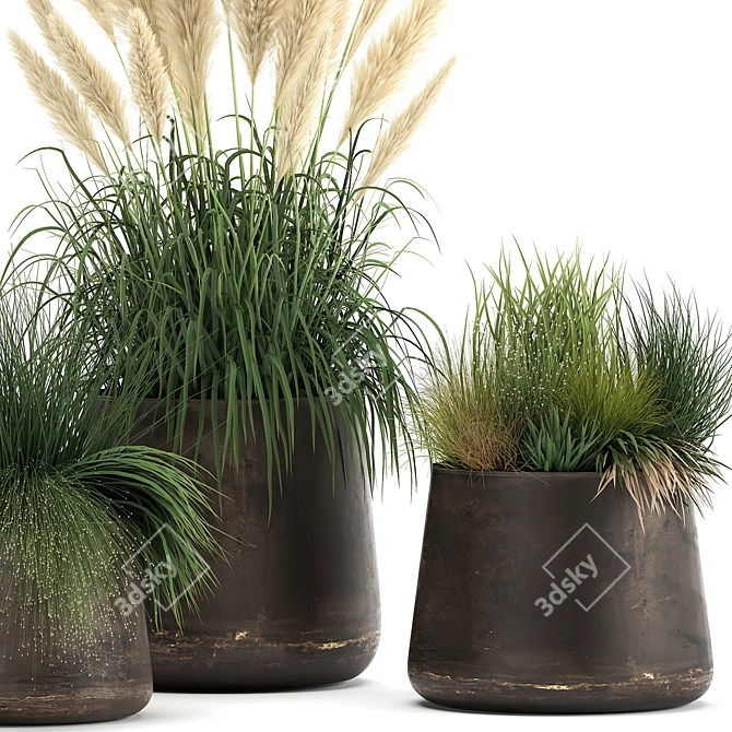 Exotic Plant Collection with Metal Pots 3D model image 4