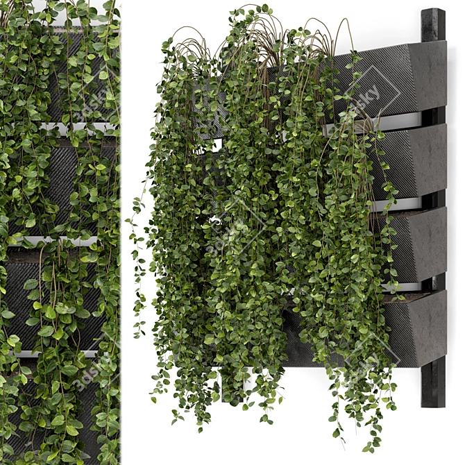 Elegant Hanging Wall Planter Set 3D model image 1