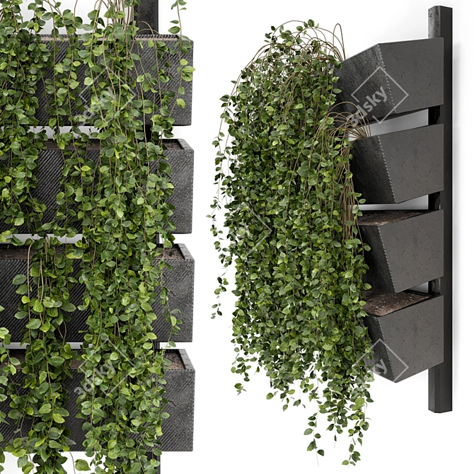 Elegant Hanging Wall Planter Set 3D model image 3