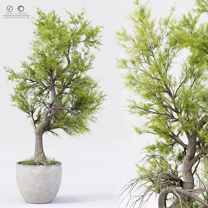 Exquisite Indoor Plant Decor 3D model image 1