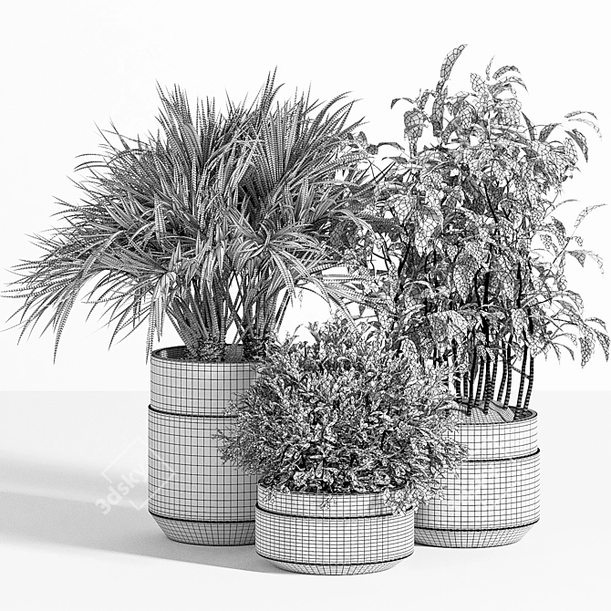 Indoor Greenery Set 3D model image 5